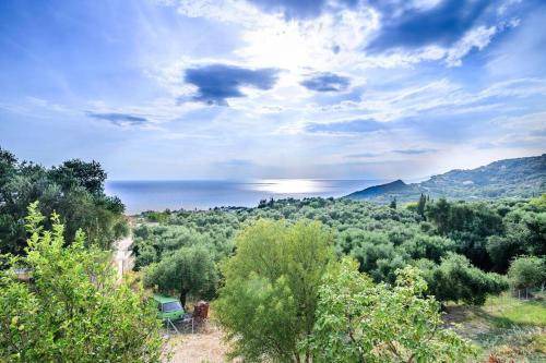 Photo of Others in Lygia