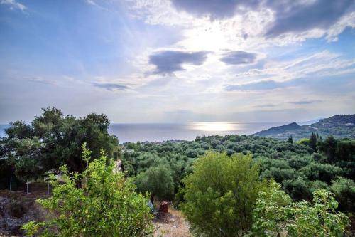 Photo of Others in Lygia