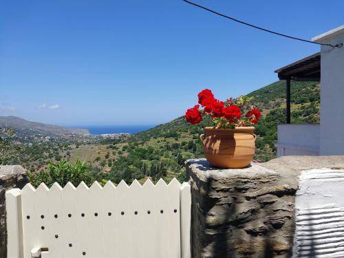 Photo of Others in Andros Town
