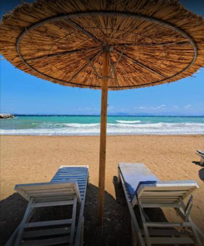 Photo of Others in Rafina-Pikermi