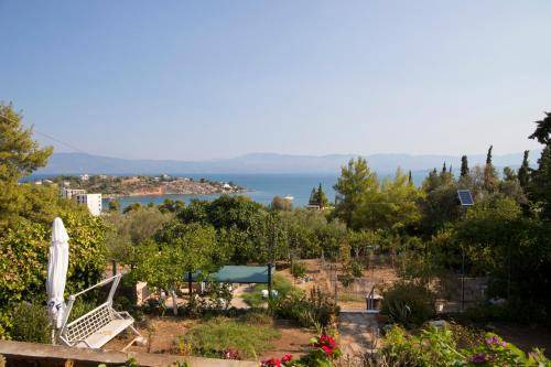 Photo of Others in Chalcis