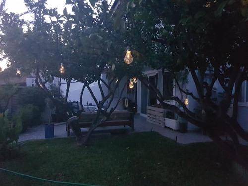 Photo of Others in Saronikos