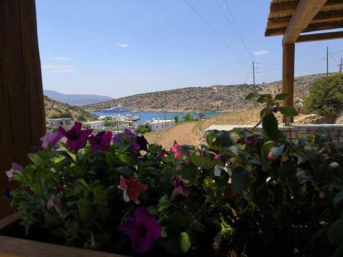 Photo of Others in Schinoussa Town
