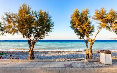 Photo of Others in Ialyssos