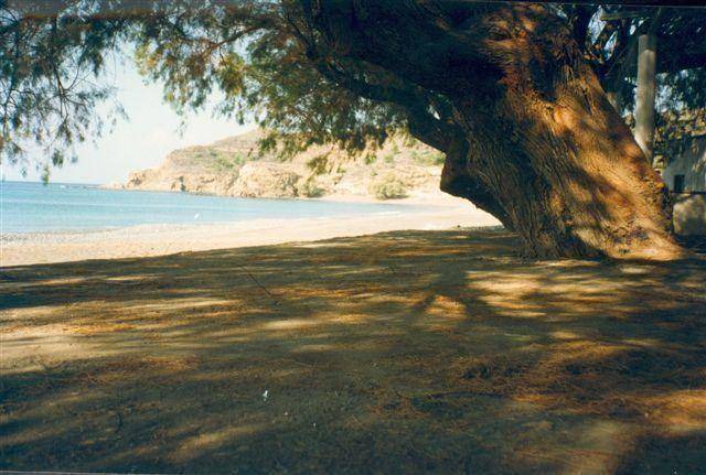 Photo of Others in Limnos