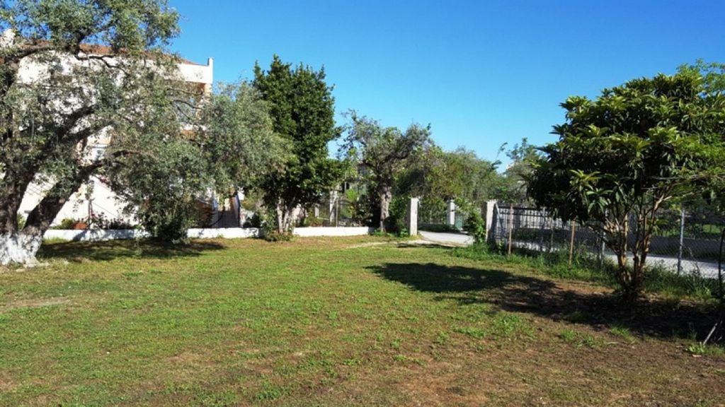 Photo of Buildings in Golden Beach