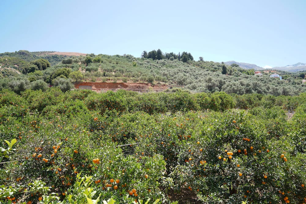 Photo of Outdoor in Agia