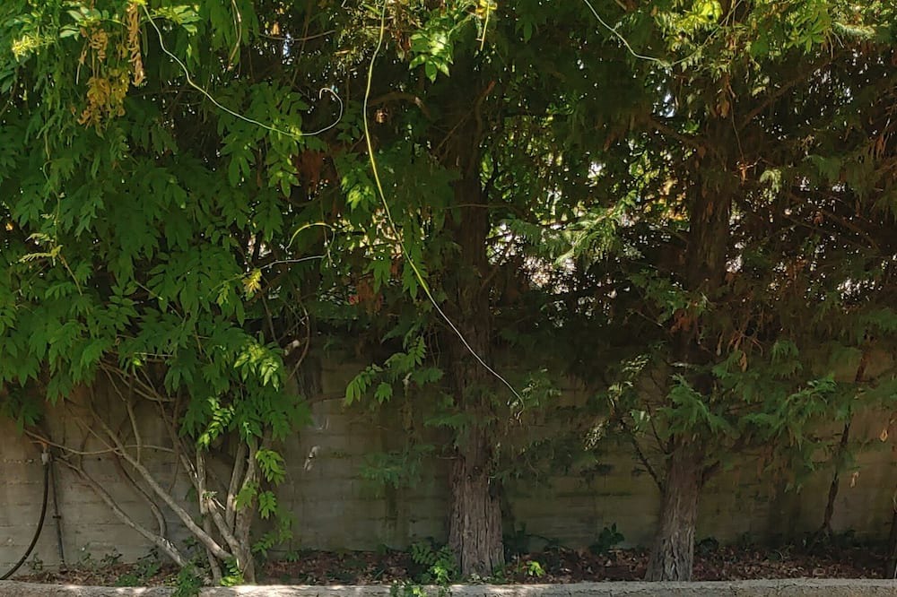 Photo of Outdoor in Dassia