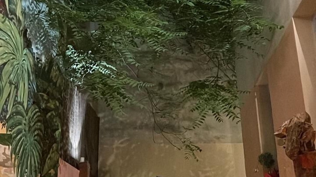 Photo of Outdoor in Omonia