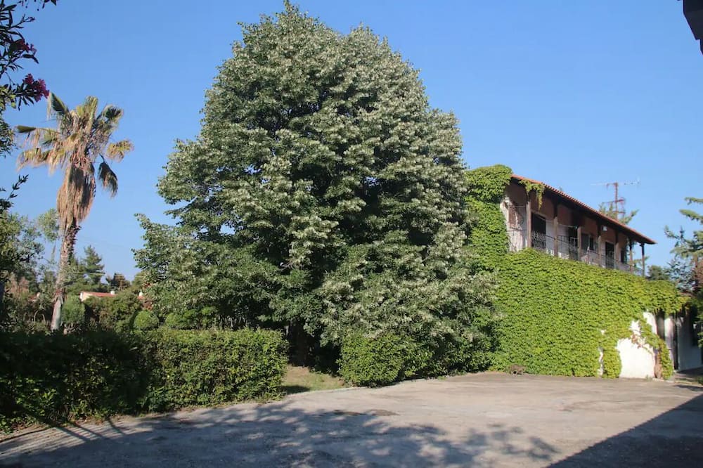 Photo of Outdoor in Mikra Mandinia