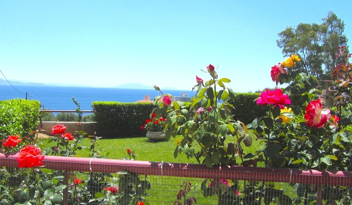 Photo of Outdoor in Marathon