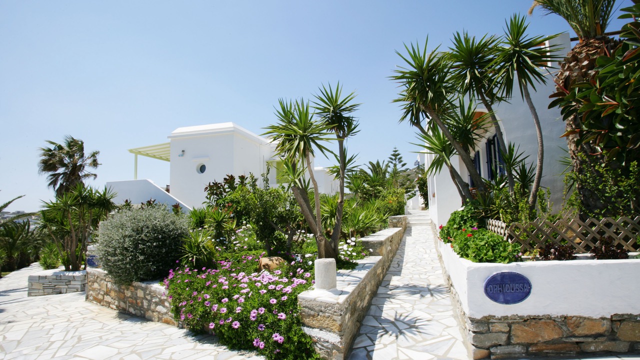 Photo of Outdoor in Agios Ioannis