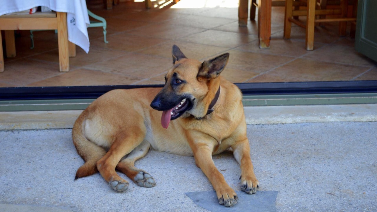 Photo of Others in Aggeliana