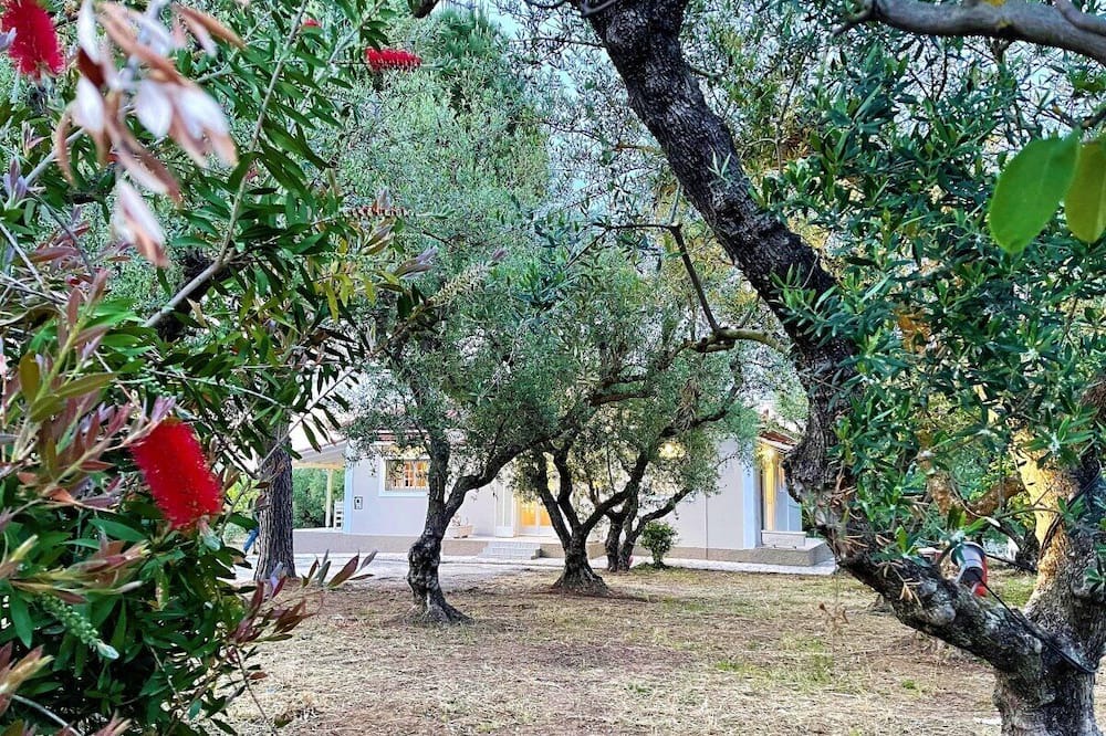 Photo of Outdoor in Drosia
