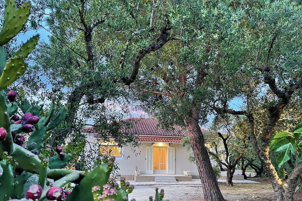 Photo of Outdoor in Drosia