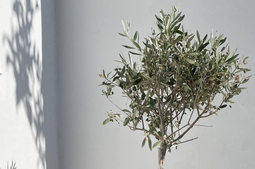 Photo of Others in Limenas Chersonisou