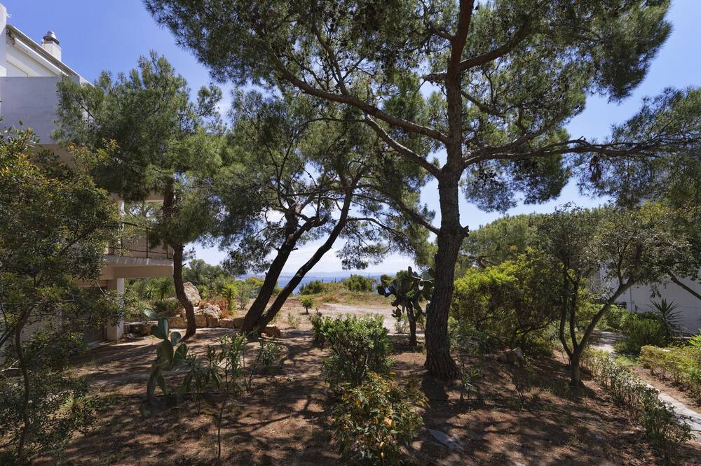 Photo of Outdoor in Kato Sounion