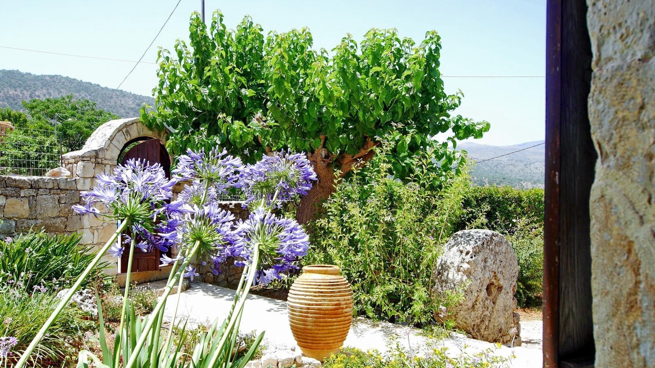Photo of Others in Makhairoi