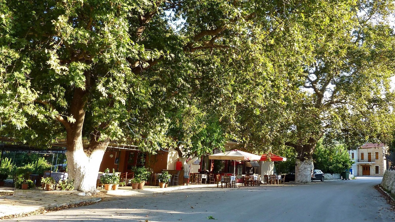 Photo of Others in Makhairoi
