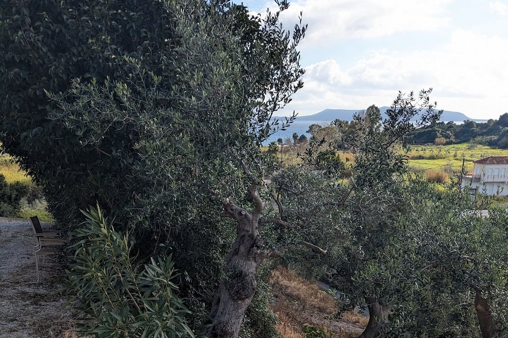 Photo of Outdoor in Pylos-Nestoras