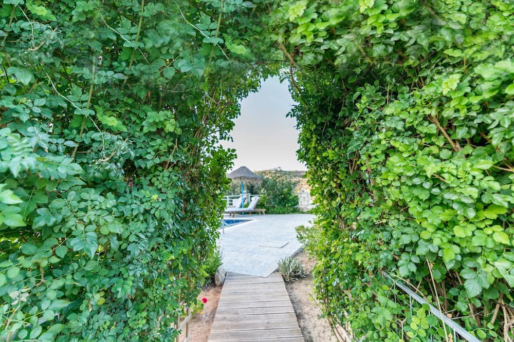 Photo of Outdoor in Pitsidia