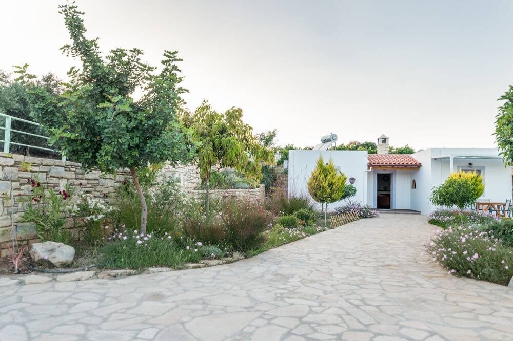 Photo of Outdoor in Pitsidia