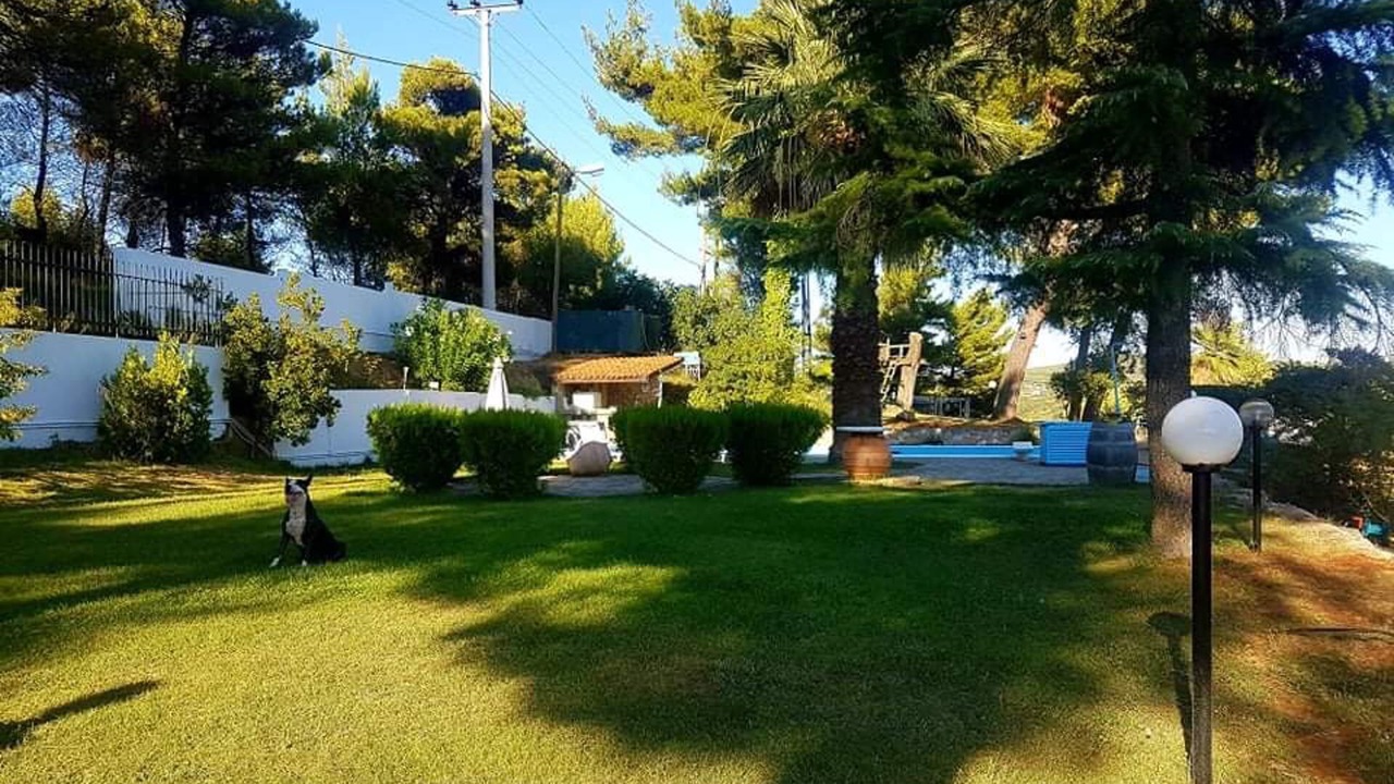 Photo of Others in Oropos