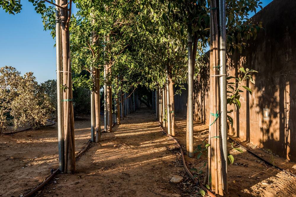 Photo of Outdoor in Platanias