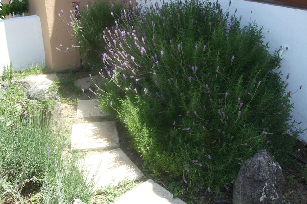 Photo of Outdoor in Amarion