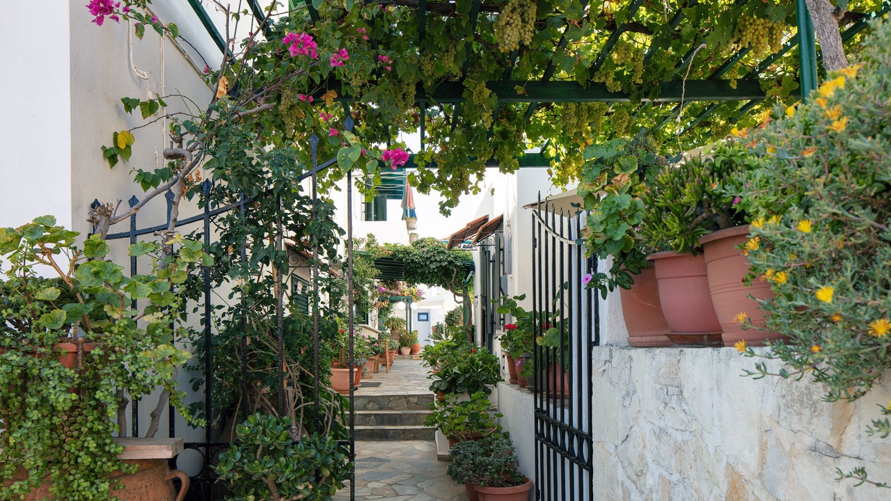 Photo of Outdoor in Panormos