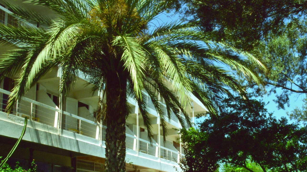 Photo of Outdoor in Nea Makri