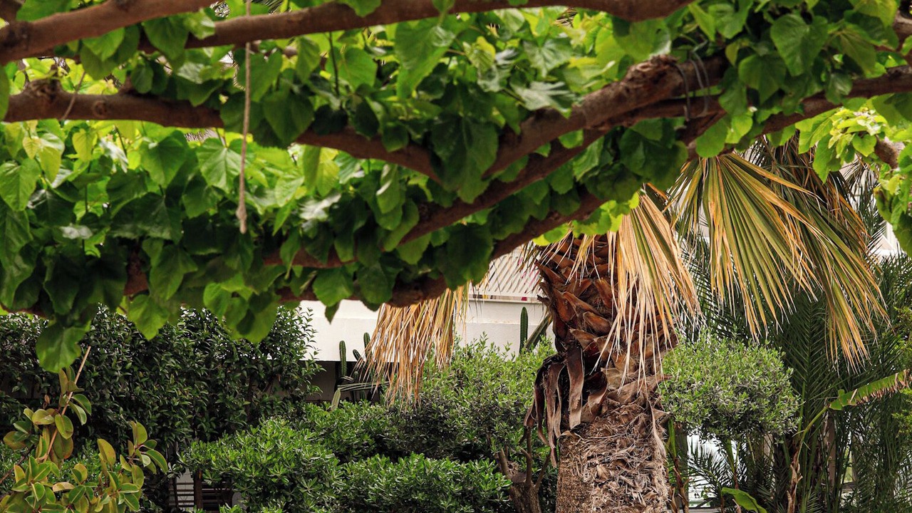 Photo of Patio Balcony in Nea Makri