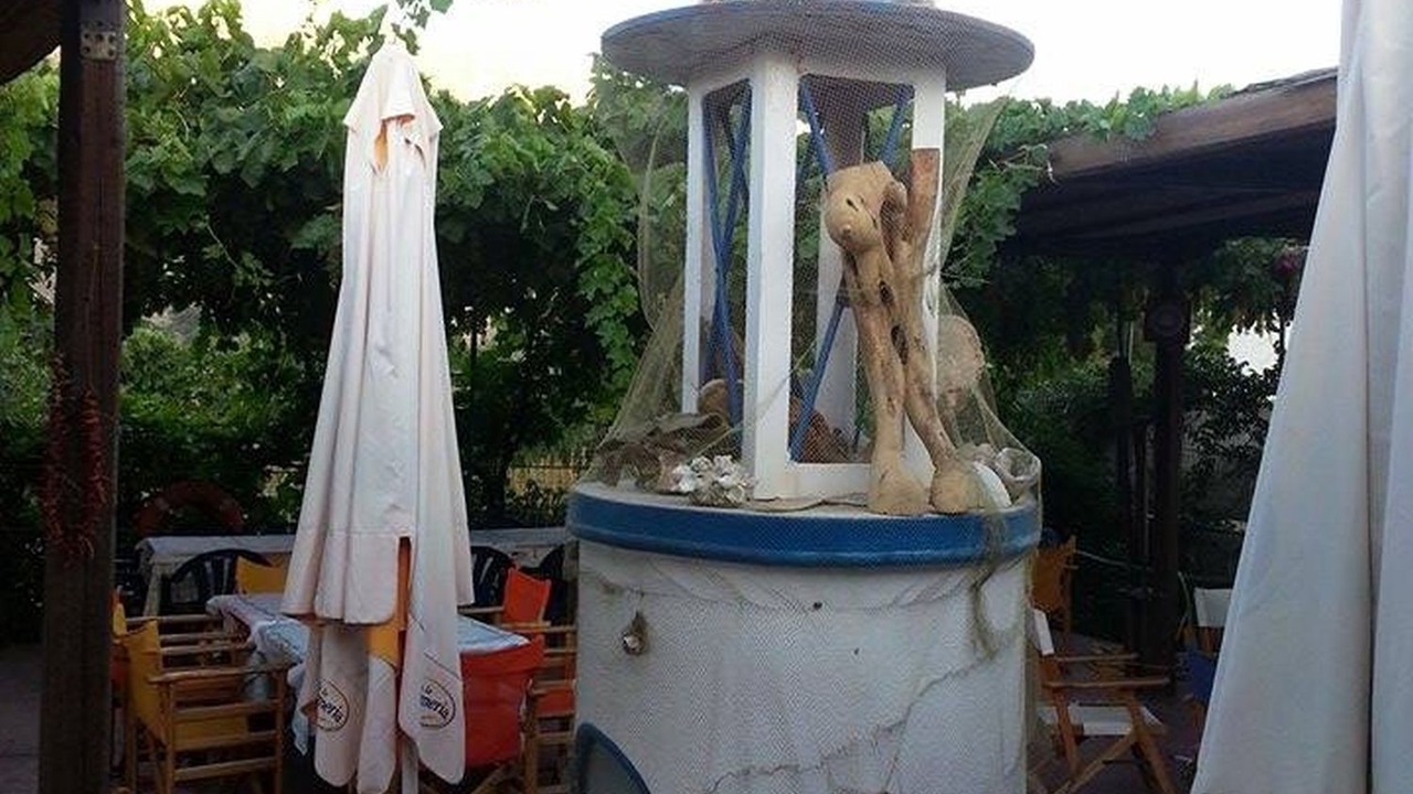 Photo of Others in Tilos