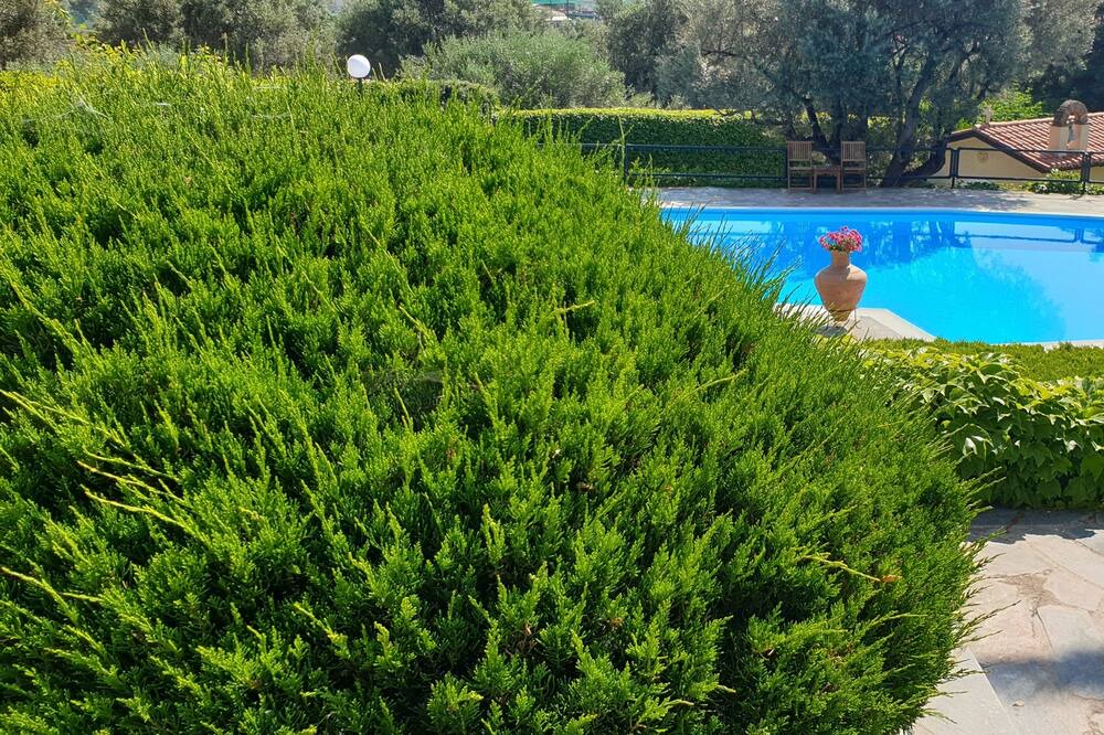 Photo of Outdoor in Nea Makri