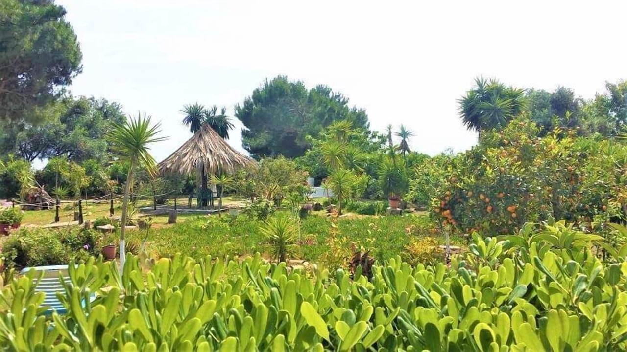 Photo of Outdoor in Chalikounas