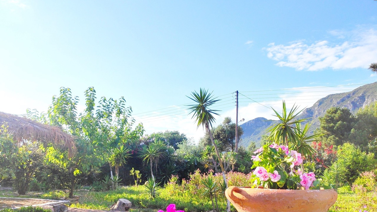 Photo of Outdoor in Chalikounas