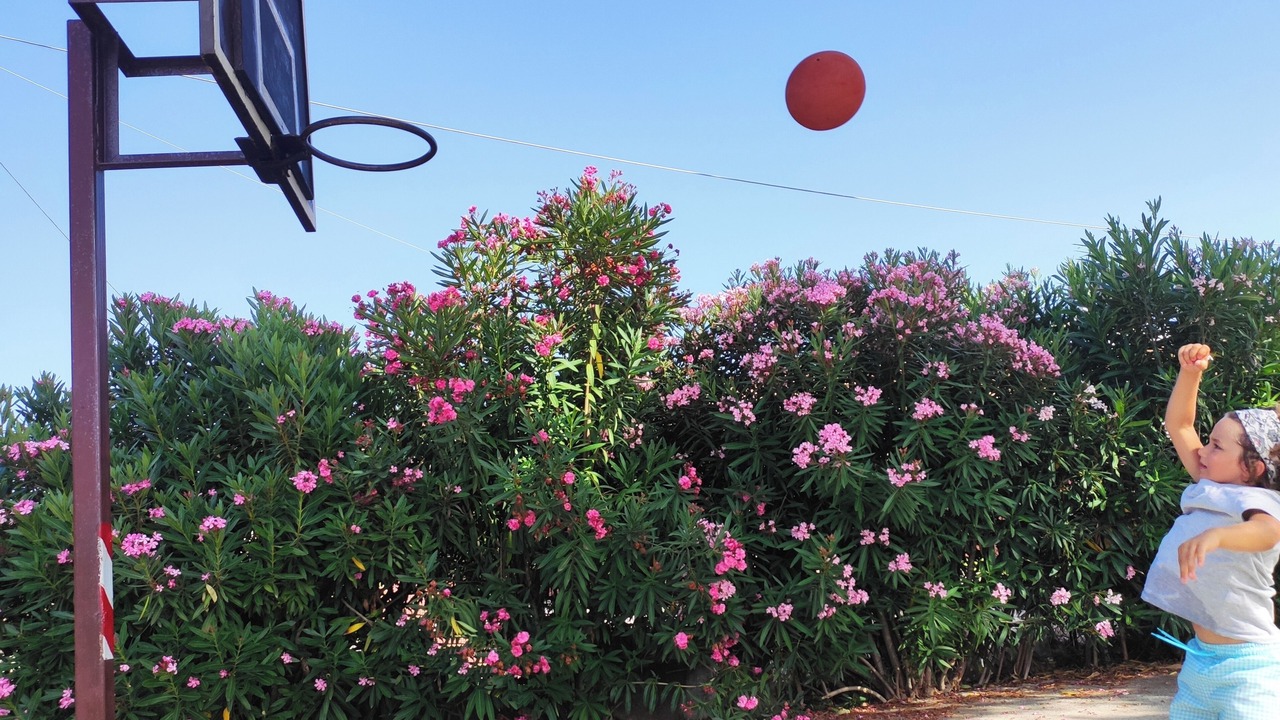 Photo of Outdoor in Chalikounas
