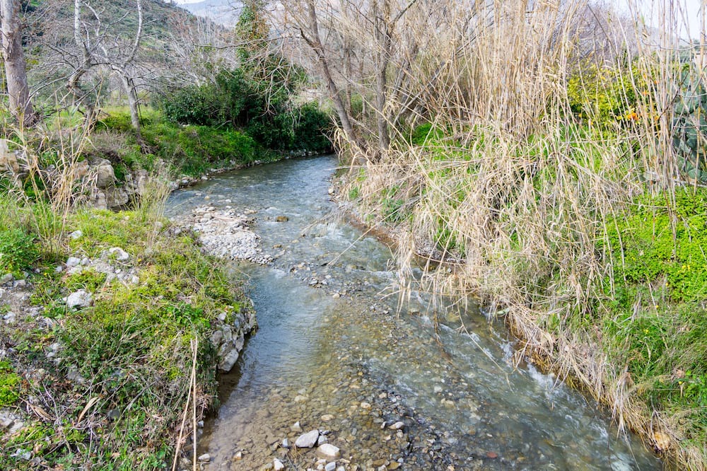 Photo of Others in Apomarma