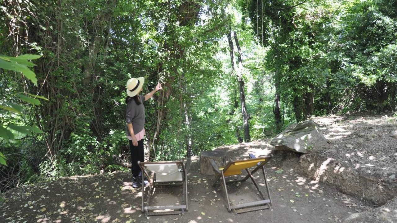 Photo of Outdoor in Tsagarada