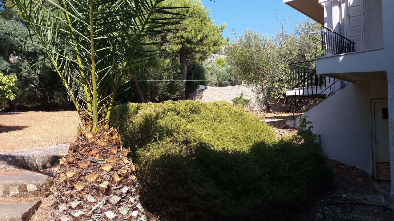 Photo of Outdoor in Saronida