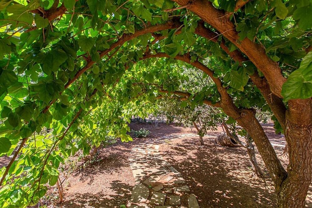 Photo of Outdoor in Pitharion