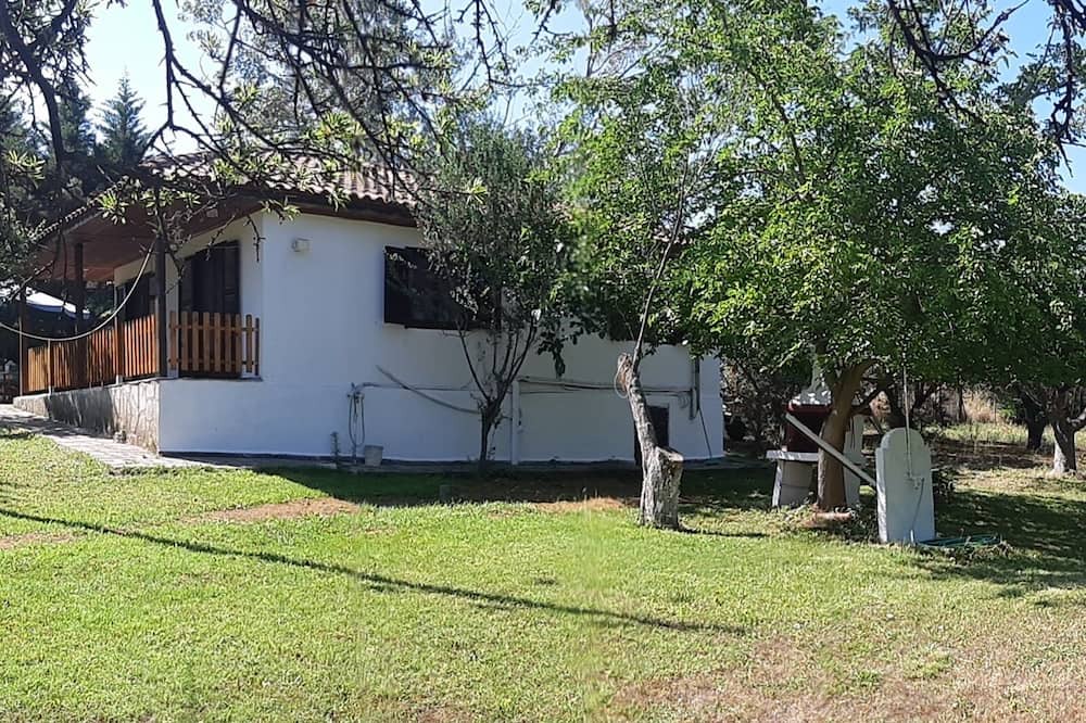 Photo of Outdoor in Nea Fokaia