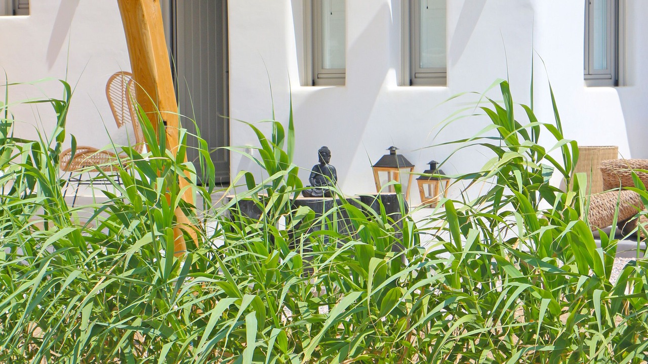 Photo of Outdoor in Ftelia