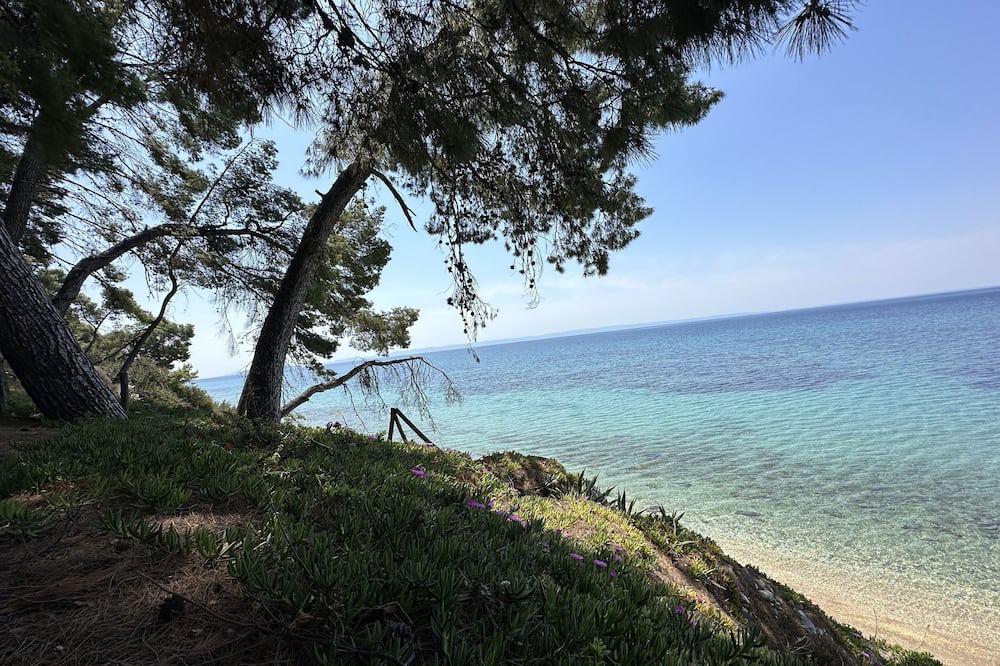 Photo of Others in Elia