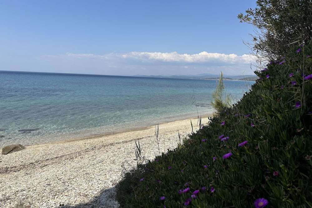 Photo of Others in Elia