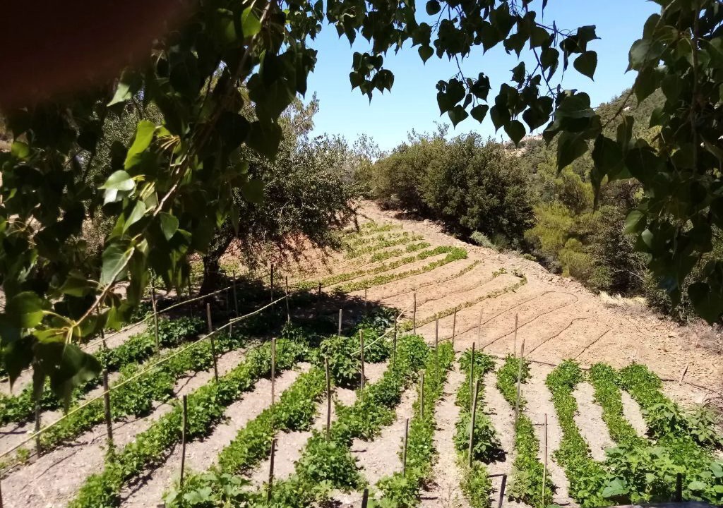 Photo of Outdoor in Kato Simi