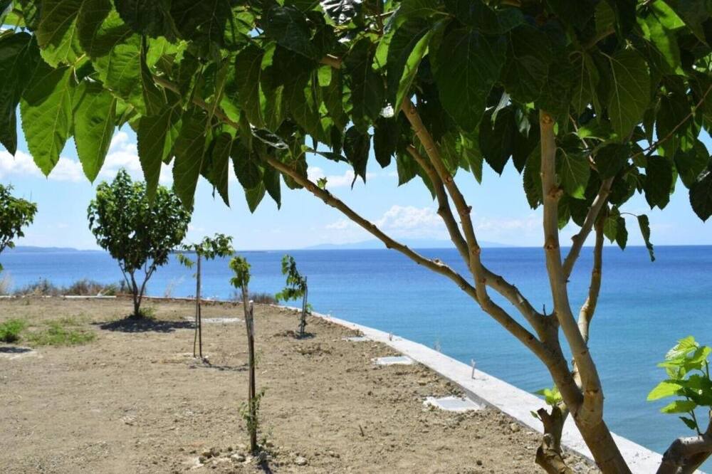Photo of Others in Kounopetra