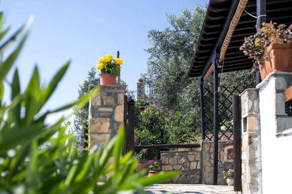 Photo of Outdoor in Afissos