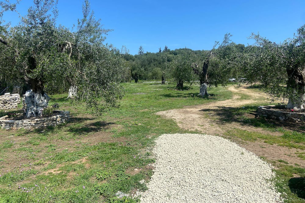 Photo of Outdoor in Agios Spyridon Corfu