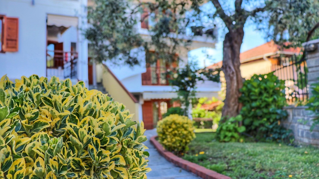 Photo of Outdoor in Chrisi Akti